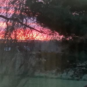 Meet your Posher, Lis